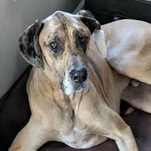 Meet your Posher, Matt